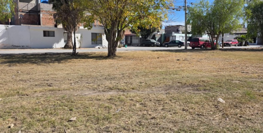 Recuperan área verde en Pozos
