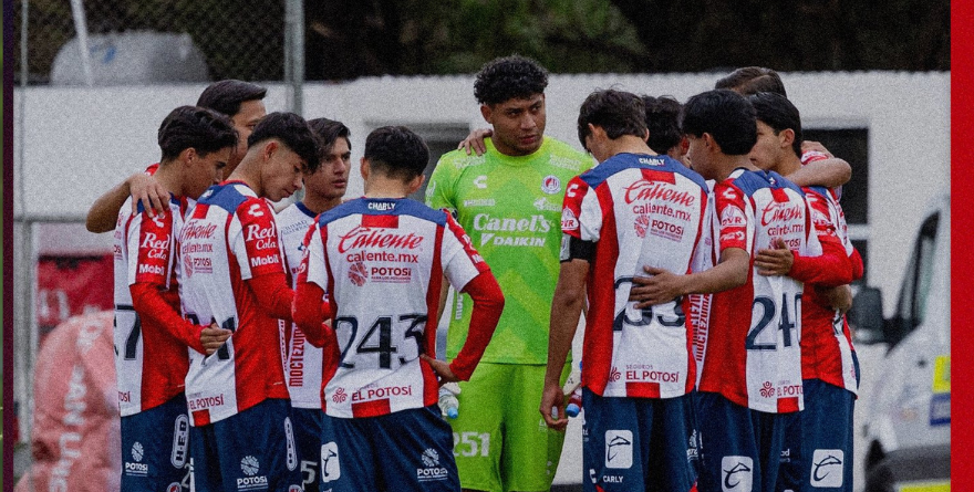 EMPATA ADSL SUB-19 CON TIGRES