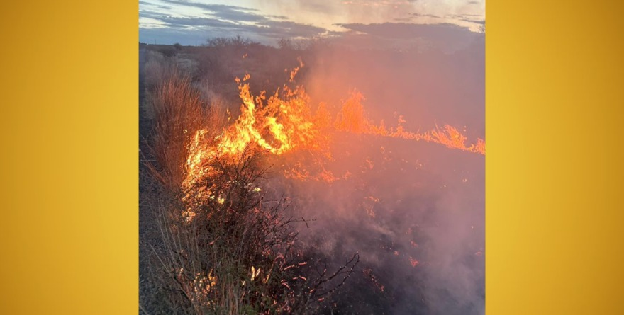 Incendios controlados en Matehuala.