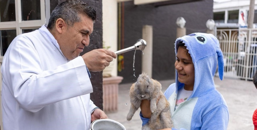 Bendicen animales en San Luis Rey