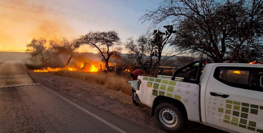 Controlan serie de incendios forestales en comunidades de Villa de Reyes