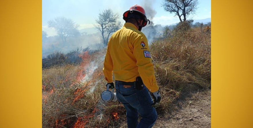 Zona Media bajo fuego