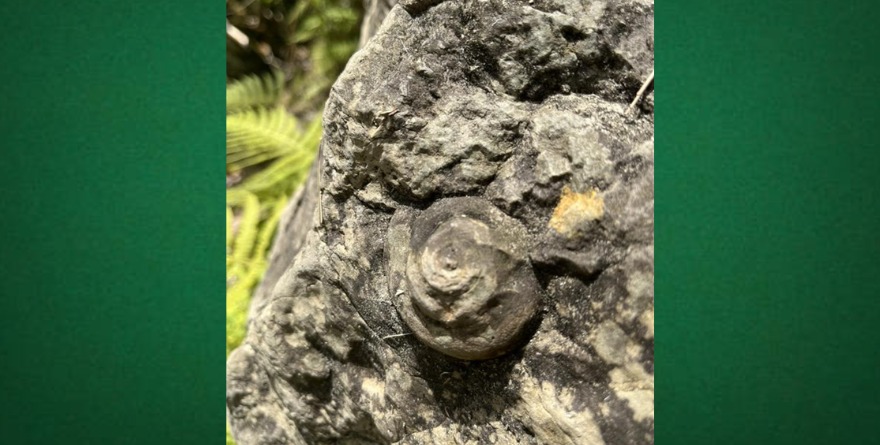 Historia sumergida sale a la luz