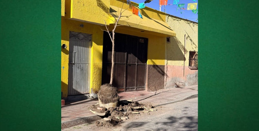 Charcas: Daños en mobiliario de calle Primero de Mayo