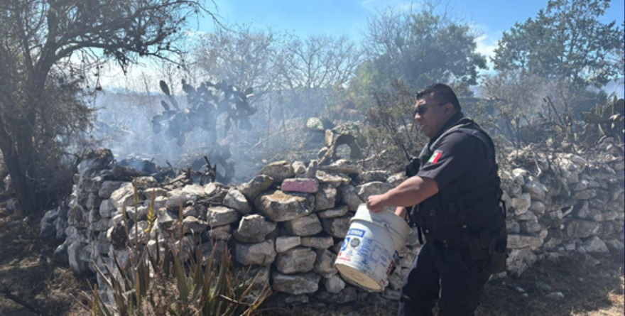 ¡A cubetazos y sin drama!