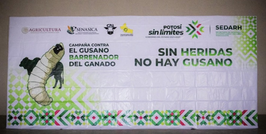 Guerra total contra el gusano