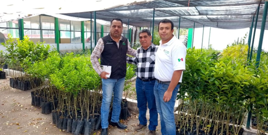 Refuerzan el parque vehicular en Tamuín
