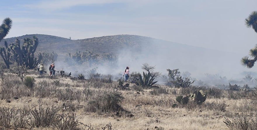 Apagan incendios en región