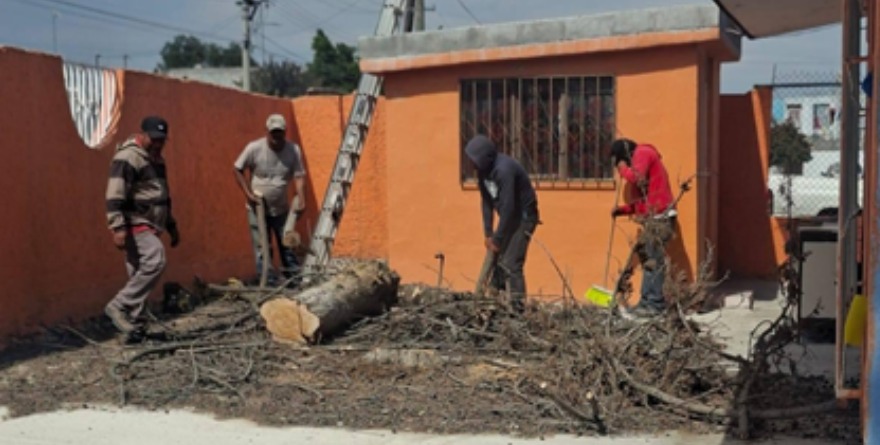 Villa de la Paz: Retiro de árbol de riesgo en Real de Minas