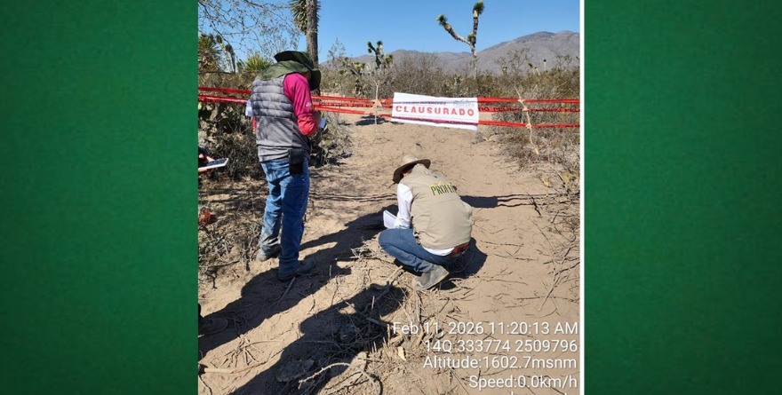 Clausuran obra por daño ambiental