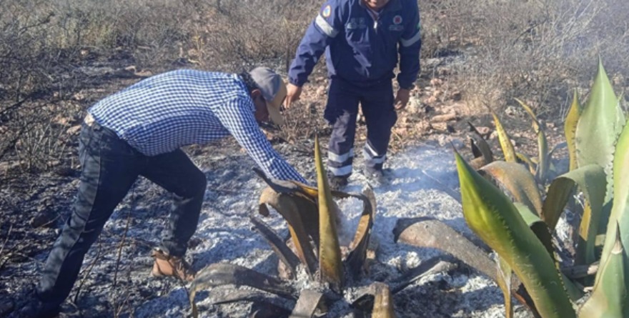 Atienden incendio en comunidad de Lechuguilla