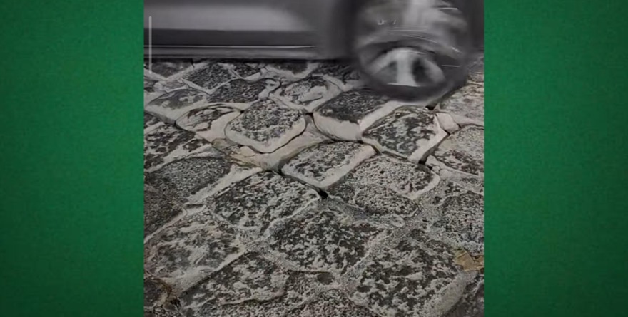 Baches hacen campaña