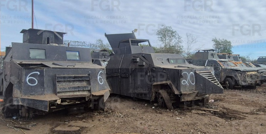 DECOMISAN 600 ‘MONSTRUOS’… Y NADIE SABE SU ORIGEN