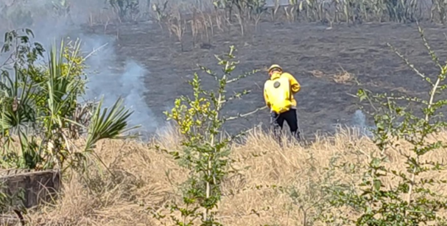 Extinguen incendio