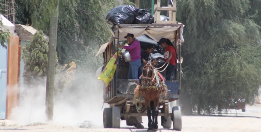 La ley dice no… pero los carretones siguen rodando