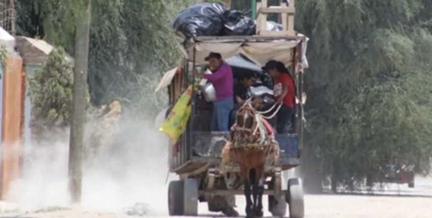 Carretones siguen… pese a la prohibición