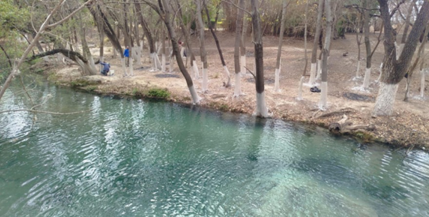 Rehabilitación: Ojo de Agua y Paseo Navarro