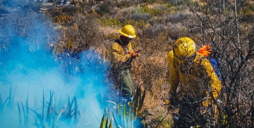 Viento y sequía avivan llamas
