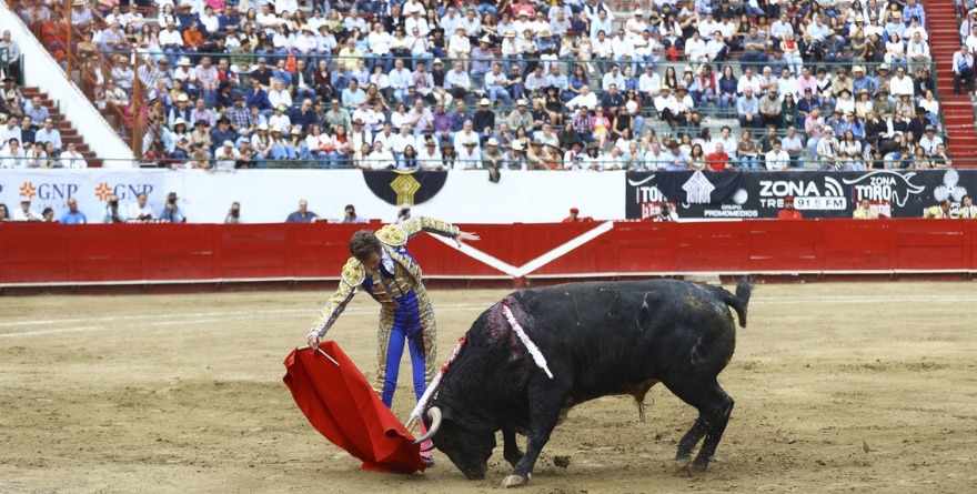 REGRESOS QUE ILUSIONAN