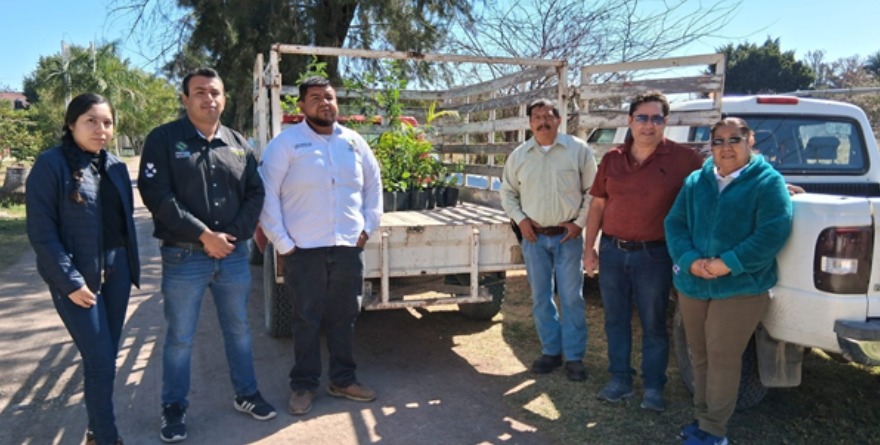 Unidos por la reforestación