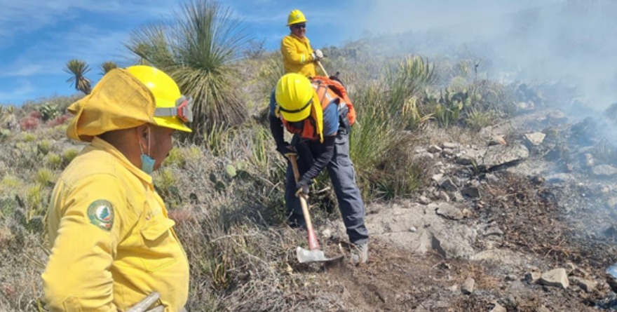 Lo entregan a Fiscalía por provocar incendios