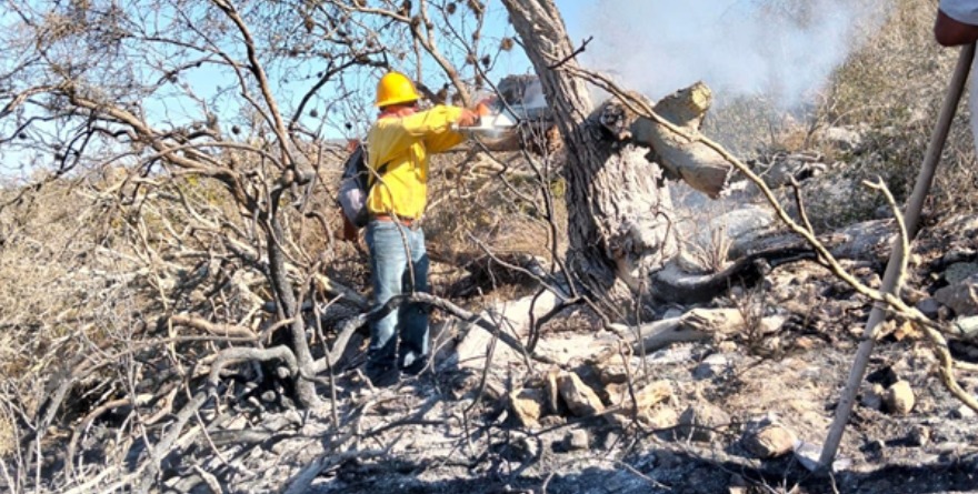 Fuego asfixia a Bomberos.