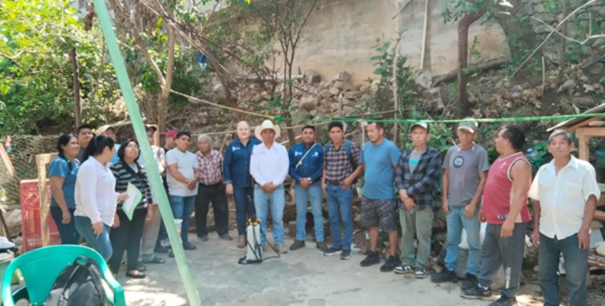 Fortalecen producción cafetalera en Cacateo