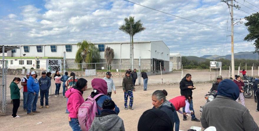 Rising Farms va a juicio