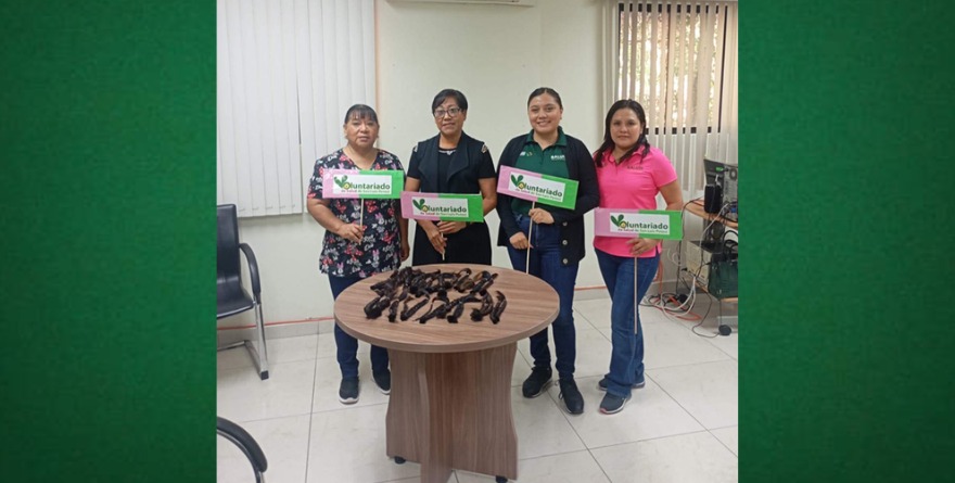 Donan trenzas que brindan esperanza
