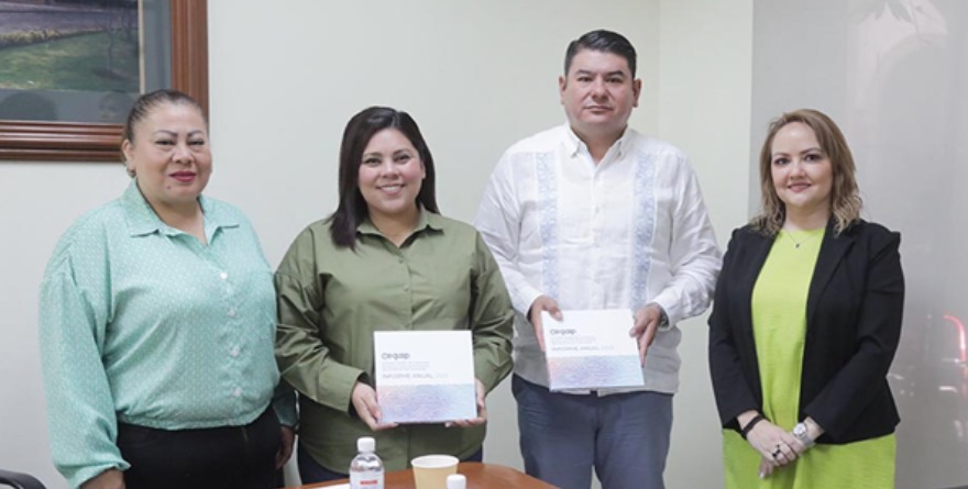 Informe anual