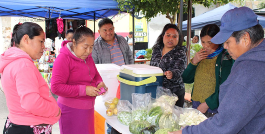 Productores impulsan tianguis de los martes