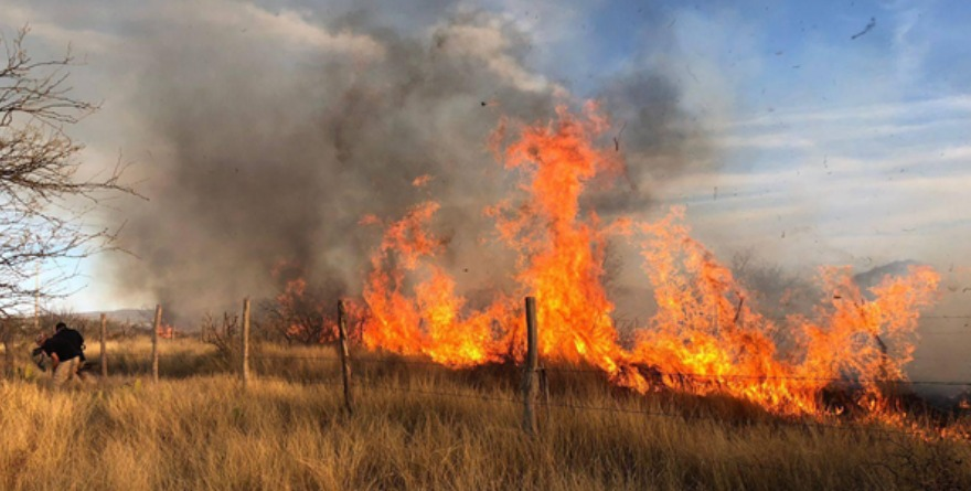 Hierba seca provoca fuego