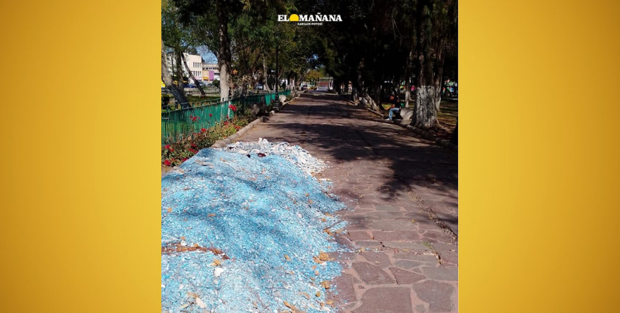 Alameda al estilo Sídney