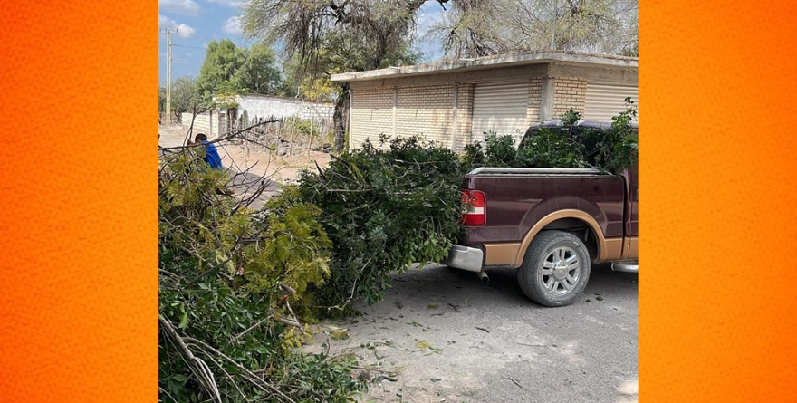 Rioverde: Limpieza y trámite ganadero