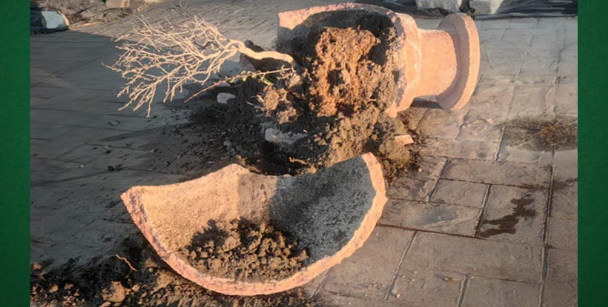 Vandalismo persiste en calles locales