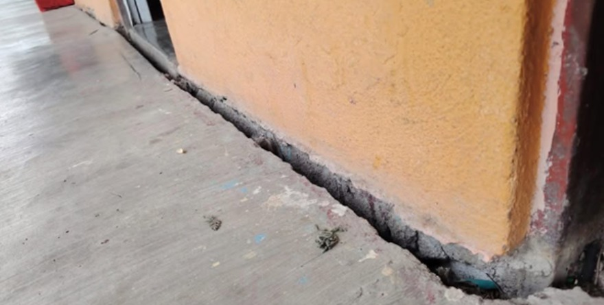 Peligro mortal en las aulas