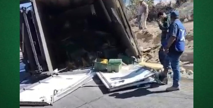 Vuelca torton de pollos en Arriaga