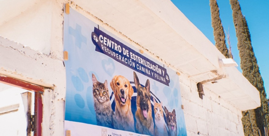 Salud animal en Matehuala