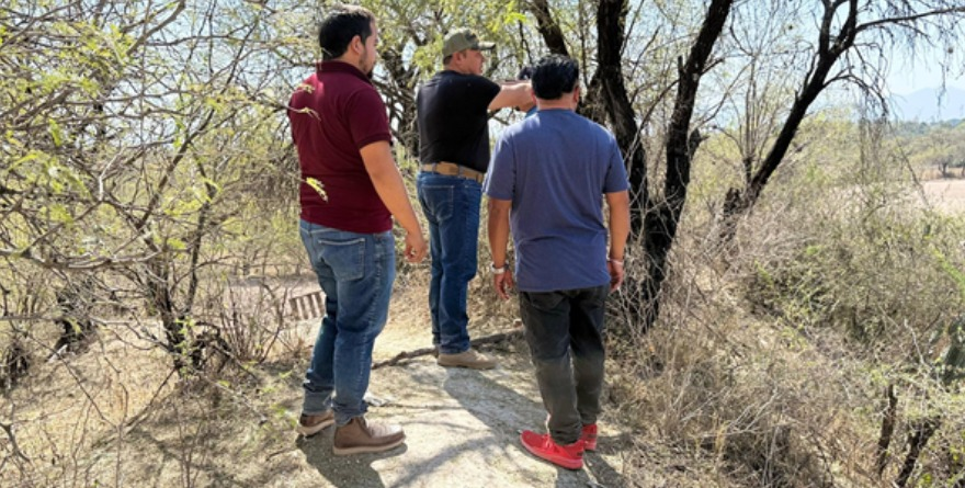 Transforman ribera del Verde