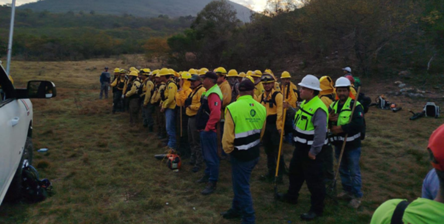 Avanza control de siniestro forestal.