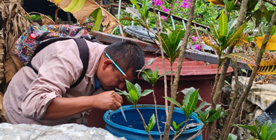 Refuerzan vigilancia contra dengue y zika