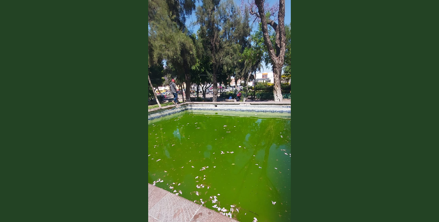 La Alameda exhibe el abandono de Galindo