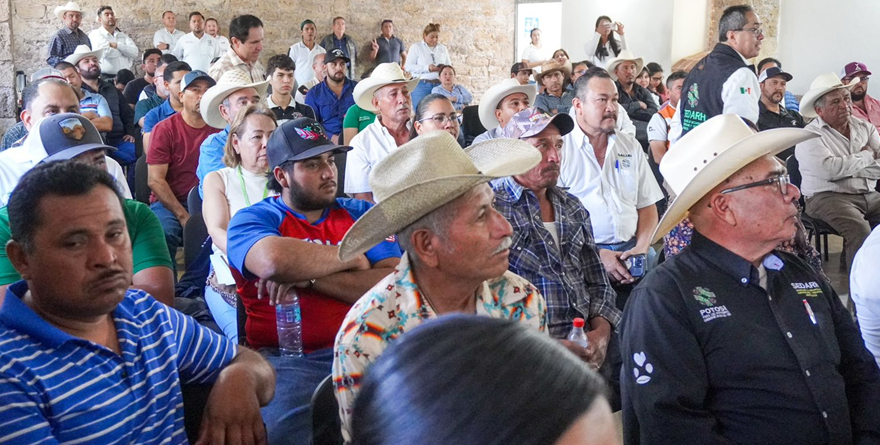 Implementan cerco contra Barrenador