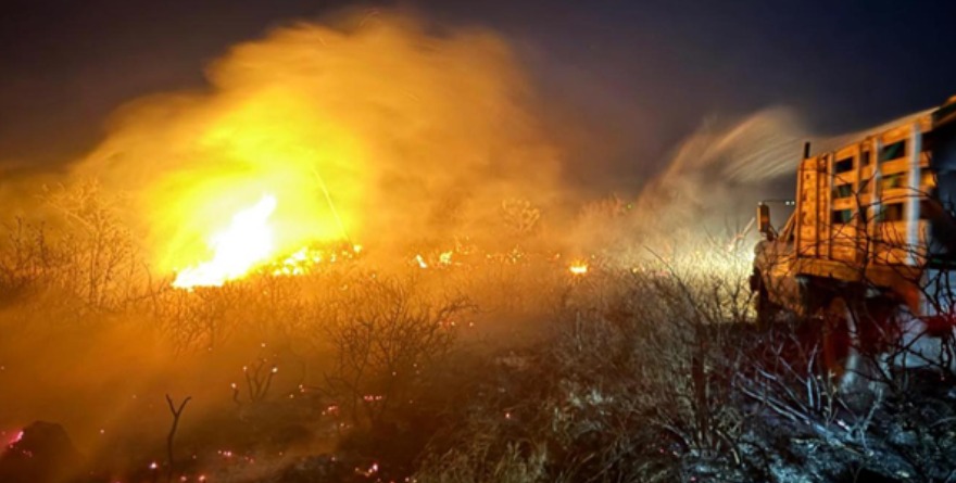 Controlan llamas en pastizales
