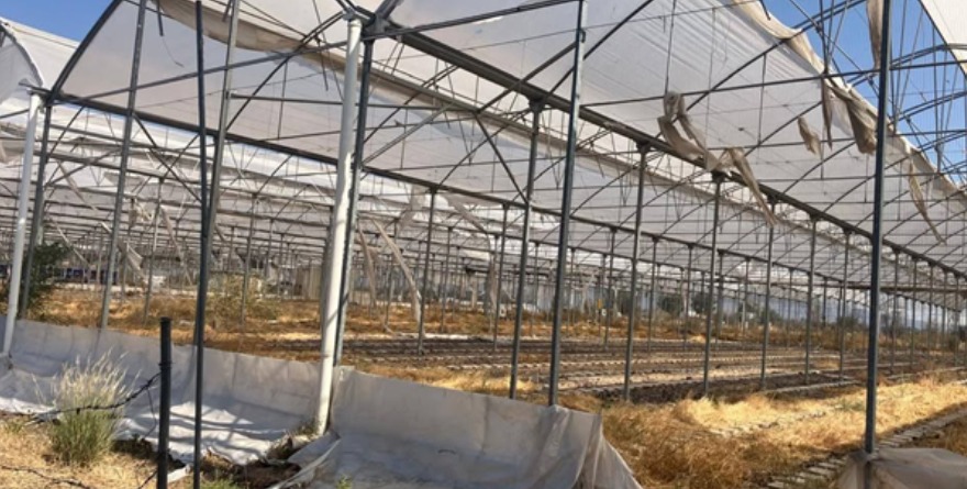 Campo en números rojos