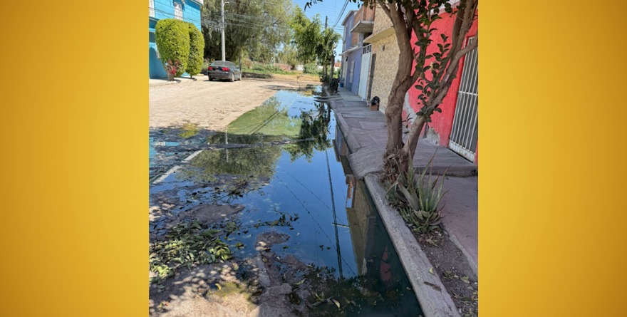 Sin atención en Las Flores; Interapas “olvida” drenaje