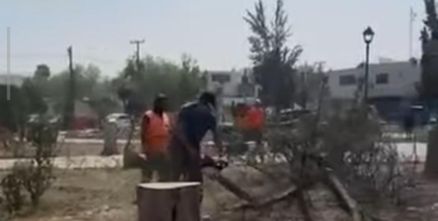 Galindo: del discurso ecológico a la tala