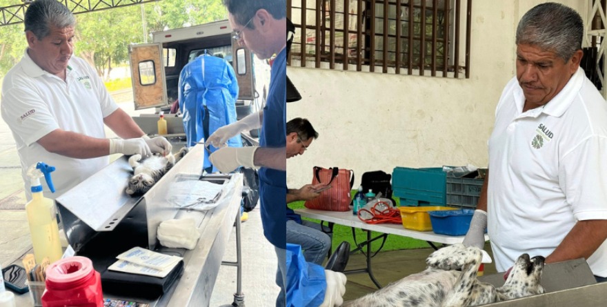 Autoridades municipales refuerzan salud pública con segunda campaña 2026