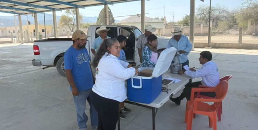 Vacunan mascotas en comunidades