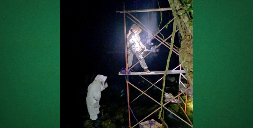 Reubican enjambre en Aquismón